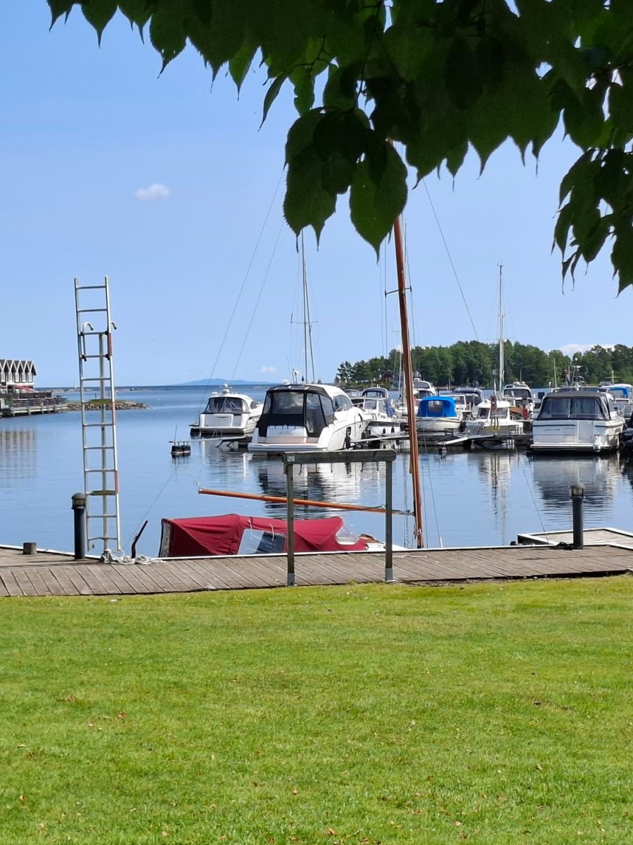 Dag 22 Mellerud